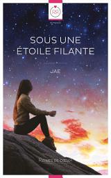Icon image Sous une Etoile Filante [Livre lesbien, roman lesbien]