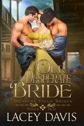 Icon image Our Desperate Bride: Treasure Falls Brides Book 2