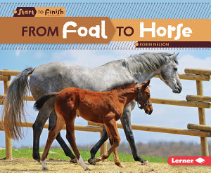 Icon image From Foal to Horse