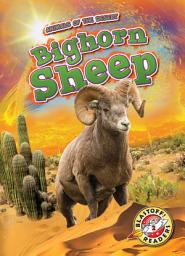 Icon image Bighorn Sheep