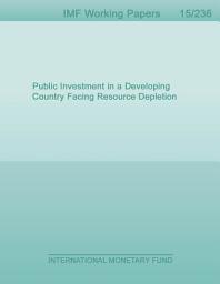 Icon image Public Investment in a Developing Country Facing Resource Depletion