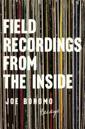 Icon image Field Recordings from the Inside: Essays