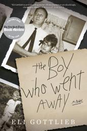 Icon image The Boy Who Went Away