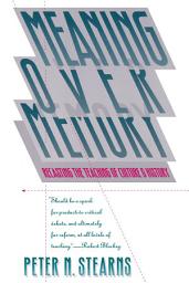 Icon image Meaning Over Memory: Recasting the Teaching of Culture and History