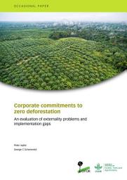 Icon image Corporate commitments to zero deforestation: An evaluation of externality problems and implementation gaps