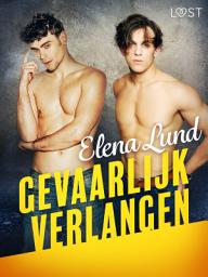 Icon image Gevaarlijk verlangen - erotisch verhaal: Volume 1