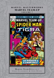 Icon image Marvel Team-Up Masterworks Vol. 7
