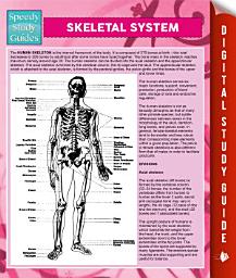 Icon image Skeletal System: Speedy Study Guides