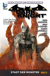 Icon image Batman: The Dark Knight