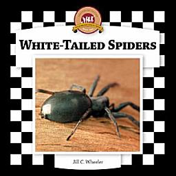 Icon image White-Tailed Spiders