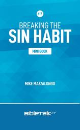 Icon image Breaking the Sin Habit