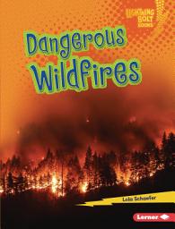 Icon image Dangerous Wildfires