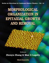 Icon image Morphological Organization in Epitaxial Growth and Removal