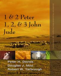 Icon image 1 and 2 Peter, Jude, 1, 2, and 3 John
