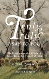 Icon image Truly, truly, I say to you: Meditations on the Words of Jesus from the Gospel of John