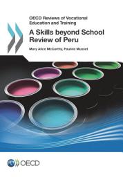 Icon image OECD Reviews of Vocational Education and Training A Skills beyond School Review of Peru