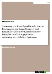 Icon image Sanierung von Kapitalgesellschaften in der Insolvenz sowie deren Chancen und Risiken der durch die Kommission der Europäischen Union geplanten vorinsolvenzrechtlichen Sanierung