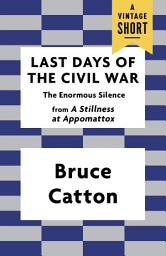 Icon image Last Days of the Civil War: The Enormous Silence