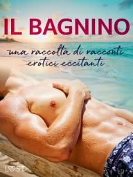 Icon image Il bagnino: una raccolta di racconti erotici eccitanti