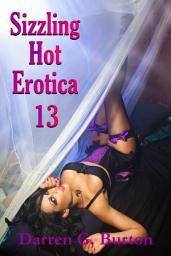 Icon image Sizzling Hot Erotica 13