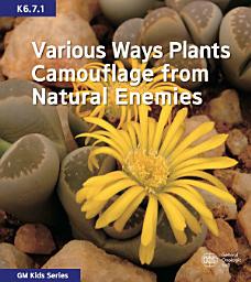 Icon image Various Ways Plants Camouflage from Natural Enemies