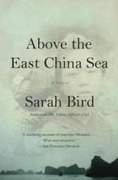 Icon image Above the East China Sea: A novel