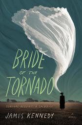 Icon image Bride of the Tornado: A Novel