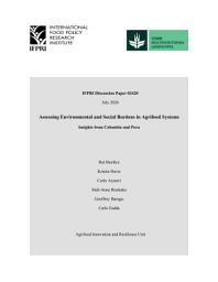 Icon image Assessing environmental and social burdens in agrifood systems: Insights from Colombia and Peru