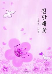 Icon image 진달래꽃 (김소월 시선집)