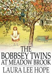 Icon image The Bobbsey Twins at Meadow Brook