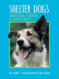 Icon image Shelter Dogs: Amazing Stories of Adopted Strays