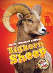 Icon image Bighorn Sheep