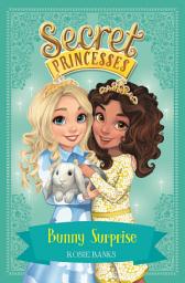 Icon image Bunny Surprise: Book 8