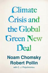 Icon image Climate Crisis and the Global Green New Deal: The Political Economy of Saving the Planet