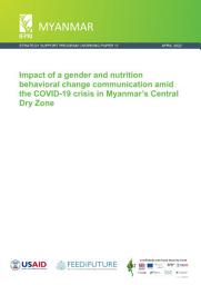 Icon image Impact of a gender and nutrition behavioral change communication amid the COVID-19 crisis in Myanmar’s Central Dry Zone