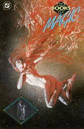 Icon image The Books of Magic (1990)