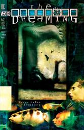 Icon image The Dreaming (1996-) #2