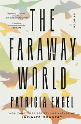 Icon image The Faraway World: Stories