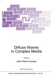 Icon image Diffuse Waves in Complex Media
