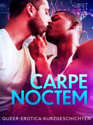 Icon image Carpe Noctem: Queer-Erotica-Kurzgeschichten