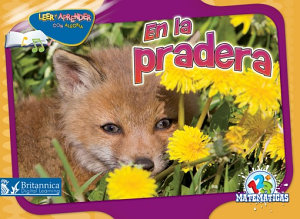 Icon image En la pradera (Over in the Meadow)