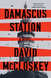 Icon image Damascus Station: A Novel