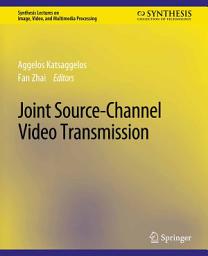 Icon image Joint Source-Channel Video Transmission