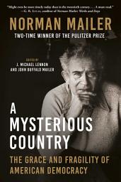Icon image A Mysterious Country: The Grace and Fragility of American Democracy