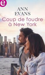 Icon image Coup de foudre à New York
