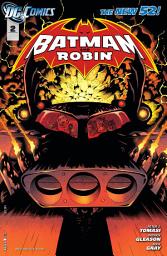 Icon image Batman and Robin (2011)