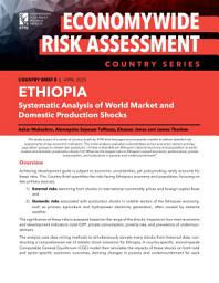Icon image Ethiopia: Systematic analysis of world market and domestic production shocks