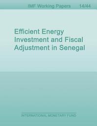 Icon image Efficient Energy Investment and Fiscal Adjustment in Senegal