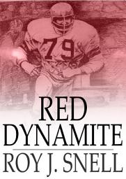 Icon image Red Dynamite: A Mystery Story for Boys