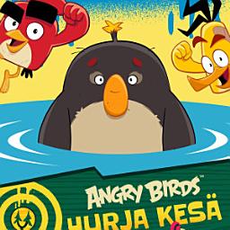 Icon image Angry Birds: Kalaherkkuja